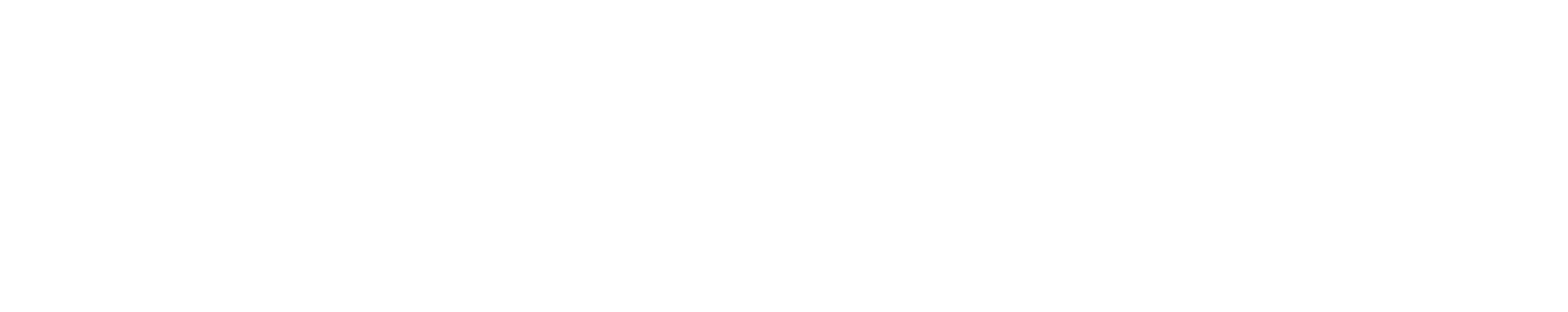 Home Thunder OS logo